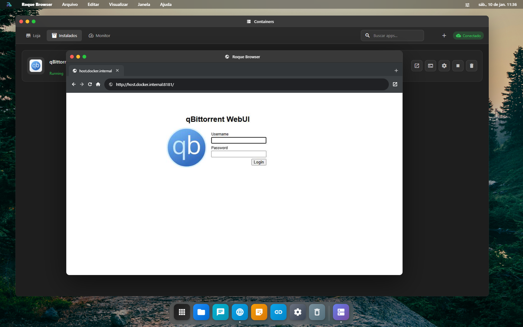 Container web interface in browser